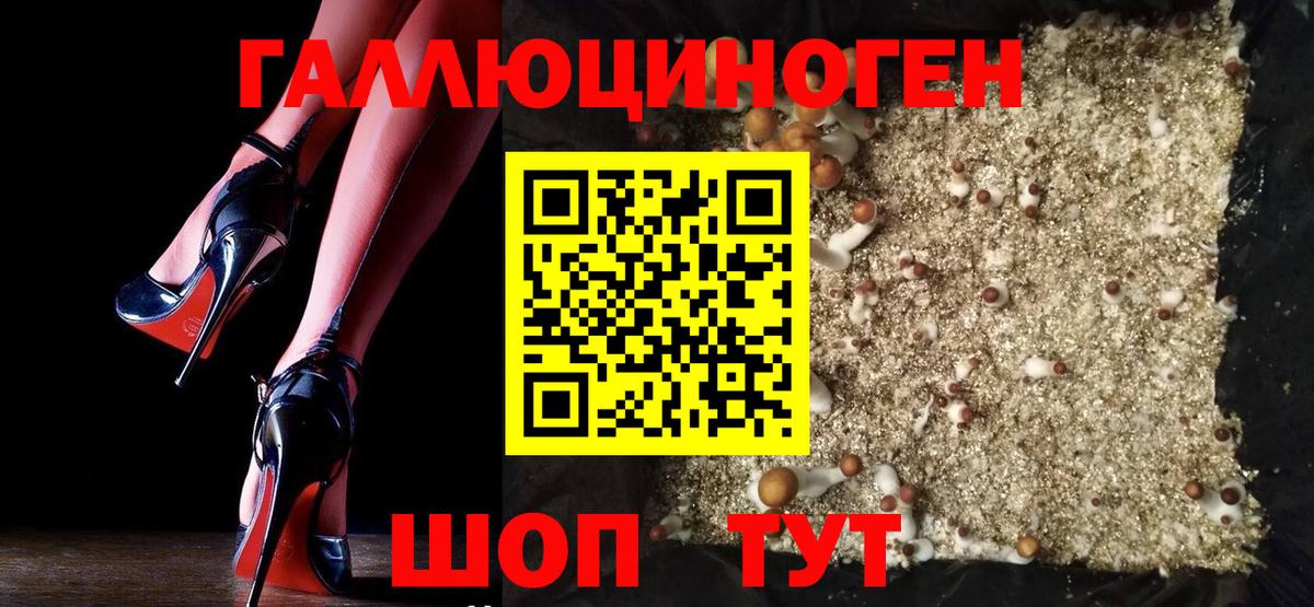 Галлюциногенные грибы прущие грибы  Вход с VPN  Чапаевск 
